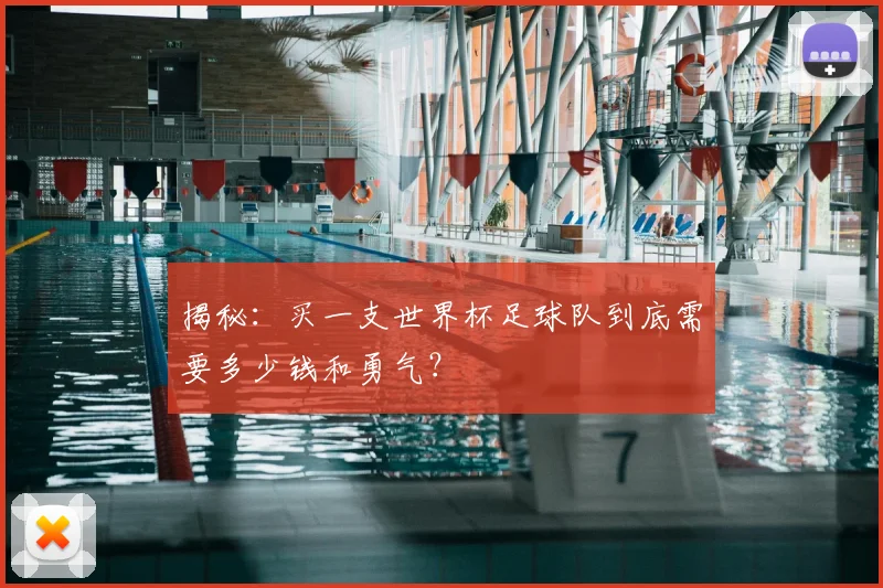 揭秘:买一支世界杯足球队到底需要多少钱和勇气?