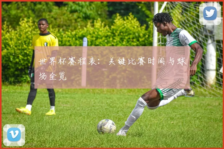 世界杯赛程表：关键比赛时间与球场全览