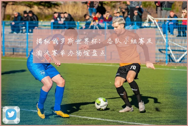 揭秘俄罗斯世界杯：各队小组赛及淘汰赛举办场馆盘点