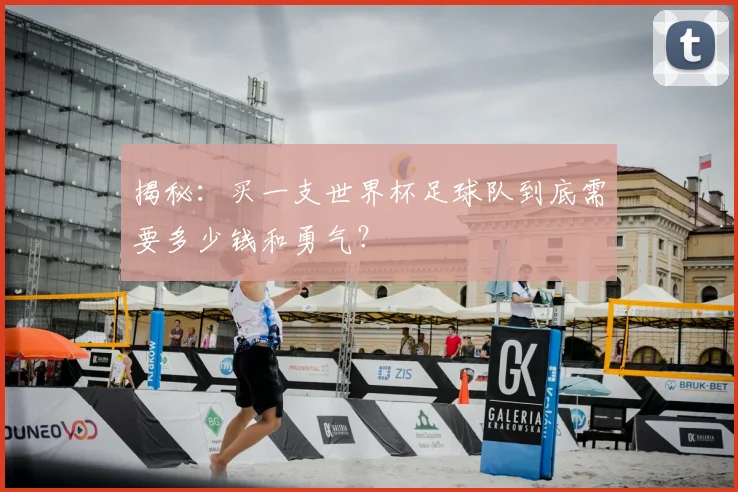 揭秘:买一支世界杯足球队到底需要多少钱和勇气?